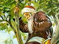 Cilvēka Dēls ir nācis meklēt un glābt to, kas bija pazudis. (Lk 19, 10)
