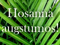 Palmu jeb Kunga ciešanu svētdiena