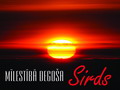 L.Kursišas-Patašas jaunais garīgo dziesmu albums 'Mīlestībā degoša Sirds' (audio)