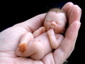 Filipīnu prezidente aicina novērsties no abortiem