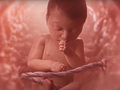 Animācijas video atklāj dzīvības brīnumu mātes miesās