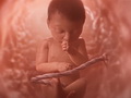Kāpēc aborts nav reliģisks jautājums?