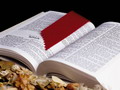 Grāmatas – būtisks Evaņģēlija vēsts izplatīšanas līdzeklis
